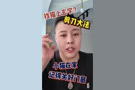 猫丢了用什么方法找回来？剪刀大法这么神吗？你们失而复得过猫吗？#剪刀大法 #猫走丢