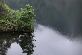 哀牢山大蟒蛇，#云南哀牢山仙境 #哀牢山视频封面