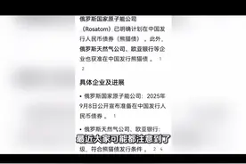 近期为何俄罗斯国家原子能公司、天然气公司和欧亚银行要在中国发行（熊猫债）人民币债券呢#原创视频 #热点 #创作者扶持计划 #强烈推荐 #上热搜