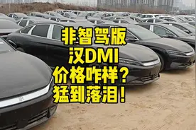 非智驾版2025款#汉DmI 不含补贴13万多起售视频封面