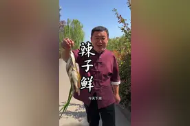 这个鱼叫：鲹条子，还是叫翘嘴，大家说说……#美食