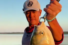 流水钓白鲢 走水抽鲢鳙一定是小钩距么？前期开饵的小细节#解锁秋冬钓鱼爆护的秘密 #秋高气爽正是钓鱼好时节 #钓鱼技巧 #浮钓鲢鳙