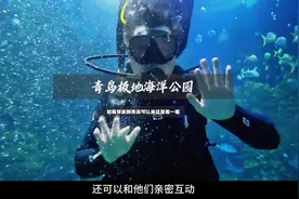 青岛极地海洋公园打卡攻略 如果你来到青岛旅行