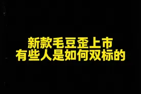 新款毛豆y上市，有些人是如何双标的！ #特斯拉焕新ModelY发布