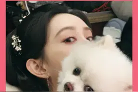 #孟子义 对巧克力 ：低声些 难道光彩吗 #狗狗 