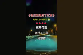花开花落又过了一年，我想你把天涯望穿……#初听不知曲中意再听已是曲中人 #伤感的情歌伤感的人