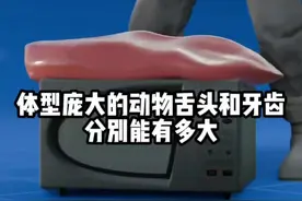 体型庞大的动物舌头和牙齿，分别能有多大？ #内容启发搜索 #涨知识 #科学探索视频封面