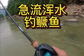 急流浑水钓鳜鱼技巧分享#鸭蹼t尾 #梦魇路亚竿 #鳜鱼季