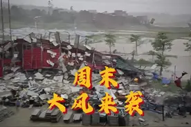 大型纪录片《周末大风来袭》 想你的风终究还是吹到了内陆#天气视频封面