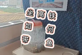 如何安全顺利的带鱼上高铁。 #野采 #高铁 #动车 #虾虎鱼
