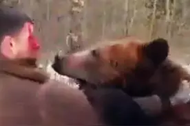 男子大战棕熊，太勇猛了#动物世界 #棕熊视频封面