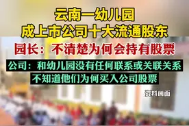云南一幼儿园成上市公司十大流通股东（上游新闻）视频封面