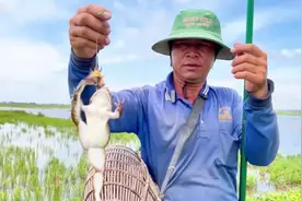 田鸡居然也是可以钓的？ #国外合法狩猎 #田鸡 #越南 #诱捕猎物视频封面