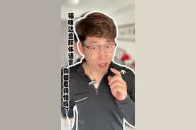 小猫12个肢体语言在表达什么？#新手养猫 #养猫人 #科学养宠攻略 #养猫经验分享