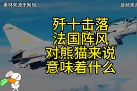 歼十击落法国阵风，对熊猫来说意味着什么？视频封面