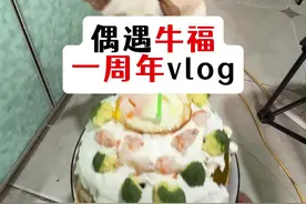 偶遇牛福一周年vlog #我的乡村生活视频封面