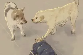 狗妈妈:要是孩子有什么事我跟你没完！#狗狗 #万物皆有灵性 #狗狗的心思都写在脸上了 #狗狗故事 #治愈系视频封面