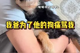 当我伤害了我爸的小狗。。。 #万物可爱计划 #小狗是宠物更是家人 #狗是人类最忠诚的朋友请善待它 #萌宠 #斑比一家人