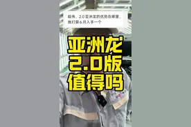 亚洲龙2.0自吸优势在哪里 #汽车知识 #亚洲龙 #凯美瑞 #丰田