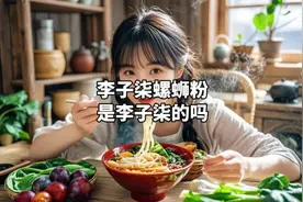 李子柒螺蛳粉到底和李子柒有没有关系？#李子柒 #李子柒更新了