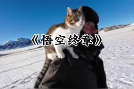 结果出来了，问题解决了，悟空是误死。 #猫咪悟空 #赵朔西行漫记视频封面