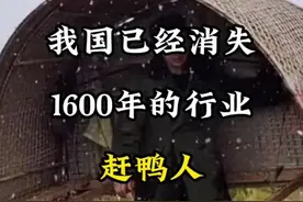 我国已经消失的职业，赶鸭人#旅行推荐官 #旅行大玩家 #赶鸭子