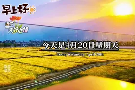 今天是4月20日星期天，也是二十四节气谷雨，早安，今日谷雨视频封面