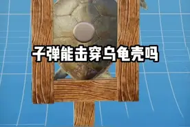 子弹能击穿乌龟壳吗？ #内容启发搜索 #涨知识 #科学探索视频封面
