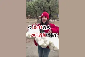 带100只馒头和20根香蕉喂猴子会发生什么故事？ #旅行vlog #西藏旅游 #动物世界 #猴子🐒视频封面