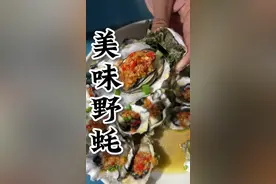 退潮后的礁石区，遍地野蚝，轻松实现生蚝自由#赶海赶海赶海啦 #户外赶海抓海鲜 #渔民日常 #万物皆可种草