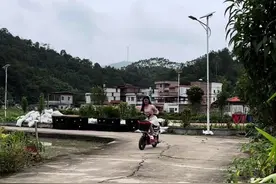 旺啊今晚榴莲煲鸡啊 #夫妻日常 #搞笑夫妻#逗比夫妻日常 #打麻将视频封面