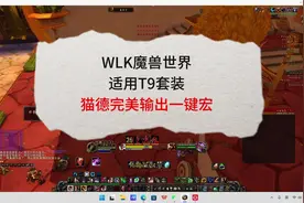 魔兽世界 猫德输出一键宏，只适用T9套，技能衔接非常完满视频封面