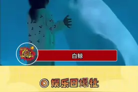 白鲸：让我看看今天吓哪个小孩 #白鲸有多聪明 #神奇动物在抖音 #白鲸 #水族馆