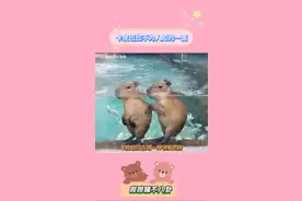 巴西的卡皮巴拉画风有点不同 #卡比巴拉 #水豚 #涨知识 #娱乐评论大赏