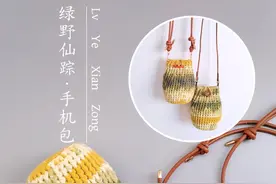 适合新手的一日手工～钩针绿野仙踪手机包 线材：@苏苏姐家官方旗舰店 手编二＃线 颜色：绿野仙踪 #钩针 #手工diy #钩针编织 #钩针包包 #玩毛线视频封面