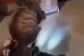 叠叠乐男团在线为您服务#真实还原视频封面