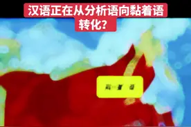 “黏着语”是东北亚主要的语言类型，例如日韩语、蒙古、女真语、突厥语系等。听感是语速很快，一个词好多音节，音节信息密度较低。  黏着语通过词根加词缀或活用表达语法关系，例如日语动词「書く」（写）→「書かない」（不写）、→「書きます」（写，礼貌），词根「書」不变，语法靠词尾变化。  “分析语”是中国和东南亚地区的语言类型，比如泰语、汉语、缅语、越南语等，听感是一个字一个字的蹦。一个词一个音节。属于音节信息高密度语言，语速较慢，靠声调区分意义。例如粤语有 9 个声调，越南语 和柬埔寨语 6 个声调，泰语 5 个声调，普通话和缅语 4 个声调。  分析语几乎不变化词形，语法关系主要靠词序或虚词，例如汉语「我吃饭」和「饭我吃」，意思不同靠词序而非词形变化。分析性最强的语言依次是越南语（纯单音节语素，零变格）、高棉语、泰语、汉语。  此外还有“屈折语”，主要是印欧语言。比如英语德语法语、波斯语、阿拉伯和印地语等等。有个例外是芬兰却为分析语（有人认为其属于欧化北亚人），以及匈牙利（含有突厥成分）。  语言学家发现这三种语言有相互转化的趋势：  屈折语向分析语转换（英语有向分析语转化趋势） 分析语向黏着语转换（汉语有向黏着语转化趋势） 黏着语向屈折语转换（芬兰语向屈折语转化）  现代汉语趋向黏着性，表现为轻微词缀化或语素化： 如“现代化”“信息化”，相当于词缀附加动词化名词，类似黏着语，通过附加语素改变词类。这来自日语影响（白话文运动主要由鲁迅等留日人士推动，造成现代书面汉语文法受日语影响） “安全性”“学习者”“我们”。“性”“者”“们”固定加在词根上，赋予语法或语义功能，类似黏着。 “看看”“走走”“慢慢地”叠词和轻声化类似附加语素，表达语法或语气。受到蒙语和女真语习惯影响。 极端口语化的脏话中，黏着化比正常语言走得更远，甚至出现了黏着的否定词缀：“V个屁”。  现代汉语大量使用了双字词以及三字词，而不是古汉语的单字词。出现了“不用声调依然可以理解”的现象。语速增快。而越南语仍保留大量单字词，声音拖的很长，声调丰富。 学术和行政句子受到日语的影响更深---- 中文：我们修正了数据。 学术中文：我们对数据进行了修正。 日語：私たちはデータを修正しました。 #历史 #科普 #语言艺术 #历史知多少 #历史故事