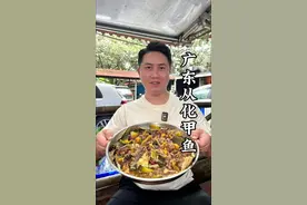 广东从化柴火蒸甲鱼，甲鱼88一斤用荷叶清蒸！味道鲜美裙边特别Q弹#甲鱼 #从化美食 #又是靓粒粒的一餐视频封面