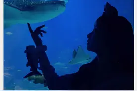 为了这个镜头，特意去了趟珠海长隆#春日来长隆#用动物的方式打开春天#长隆春日鲸鲨节  #跟着大奖玩长隆