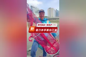 蓝刀杀手重出江湖 钓蓝刀（白条）是一名合格的野钓佬大必修课#钓鱼#野钓#蓝刀#白条@DOU+小助手