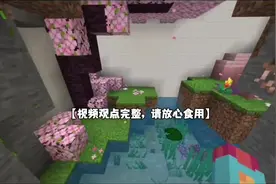 国内我的世界圈现状#我的世界 #minecraft