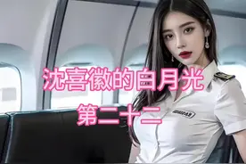 #番茄小说#语音聊天记录