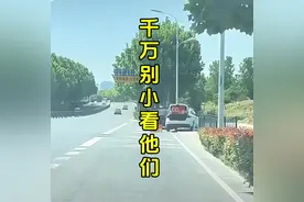 路边买光盘CD、鞋、麻花、牛肉干，到底有什么猫腻吗？#揭秘视频封面