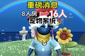 光遇8人房提升至16人！全新宠物系统！ #光遇 #光遇追光计划