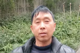 #2025元美食津贴#拼多多百亿补贴视频封面