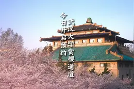 #武汉大学赏樱通道3月12日晚8点开启预约 话不多说，定好闹钟视频封面