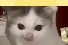 这个反向充电完全就是冲着我们这种整天抱着手机不撒手的人来的啊 #一代人有一代人的万能充