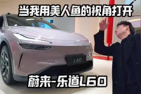 蔚来-乐道，可以换电池的小家庭用车是不是能给你想要的安全感视频封面