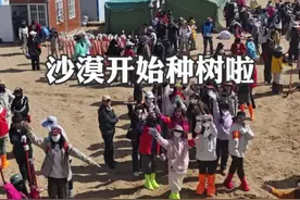 沙漠开始种树啦，节日快乐 #沙漠变绿洲 #请到民勤种棵树 #民勤视频封面