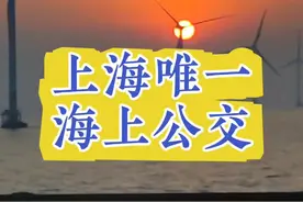 上海唯一海上公交，坐完全程是个什么样的体验？#万物皆可挂闲鱼 #vlog #上海 #大海 #公交车视频封面
